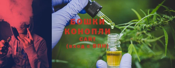 ALPHA PVP Няндома