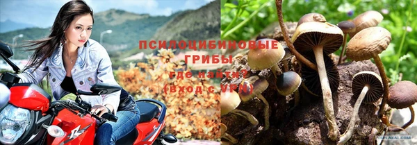 гидропоника Нягань