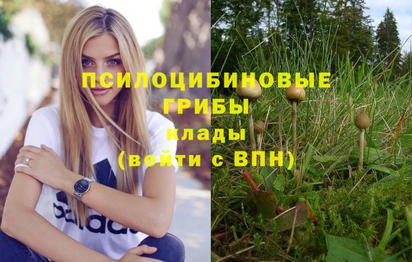 ALPHA PVP Няндома