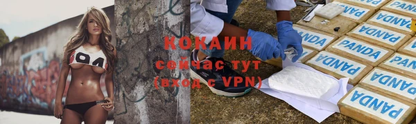 ALPHA PVP Няндома