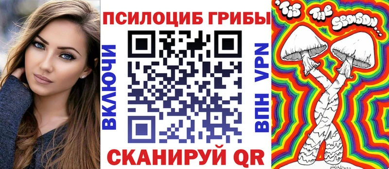 Псилоцибиновые грибы Psilocybe Уржум